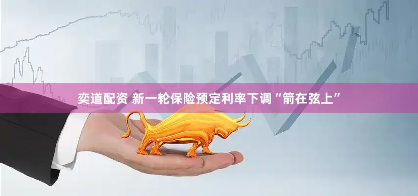 奕道配资 新一轮保险预定利率下调“箭在弦上”