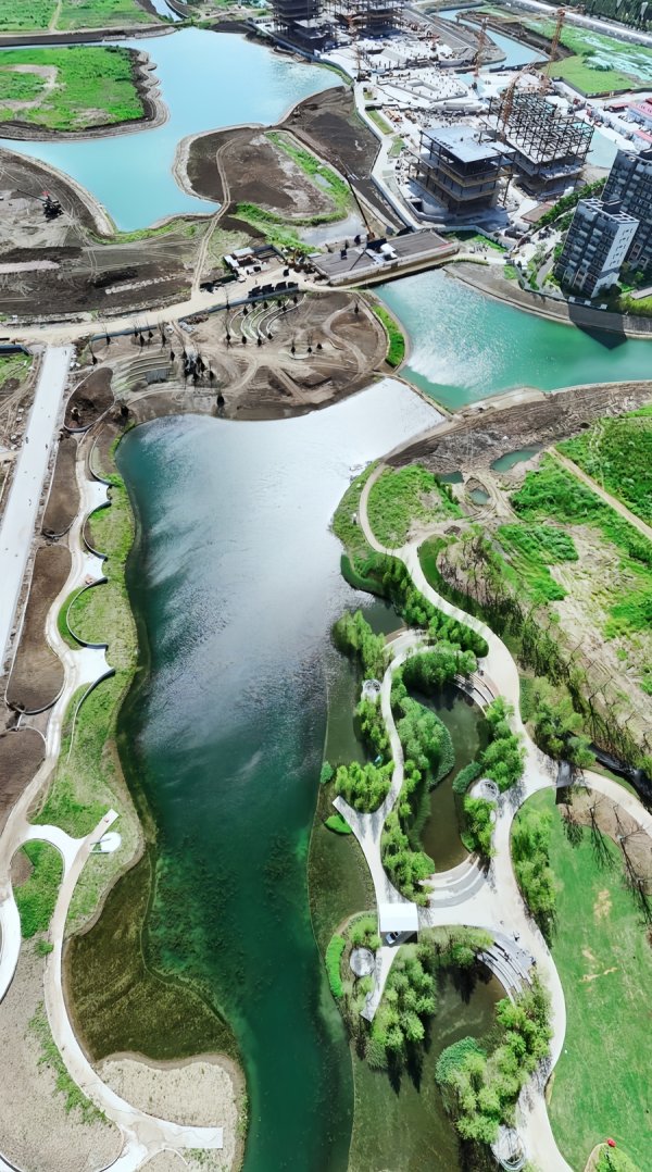 天载配资  休闲打卡新去处！西岑科创小镇里竟藏了一个“生态公园”